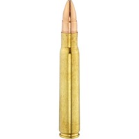 9,3x64 TOG 16,0g/247grs., Brenneke