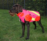 Dog protective vest standard, Out Dog