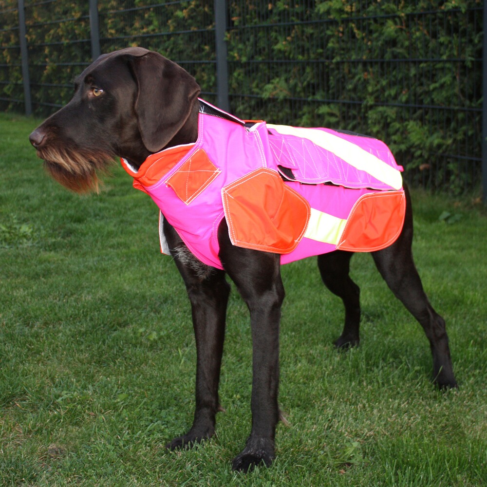 Hundeschutzweste Standard, Out Dog