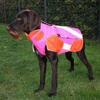 Hundeschutzweste Standard, Out Dog