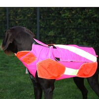 Dog protective vest standard, Out Dog