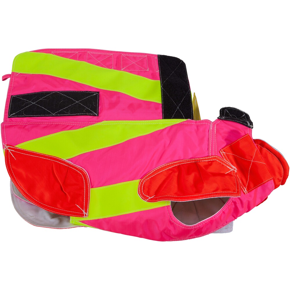 Dog protective vest standard, Out Dog