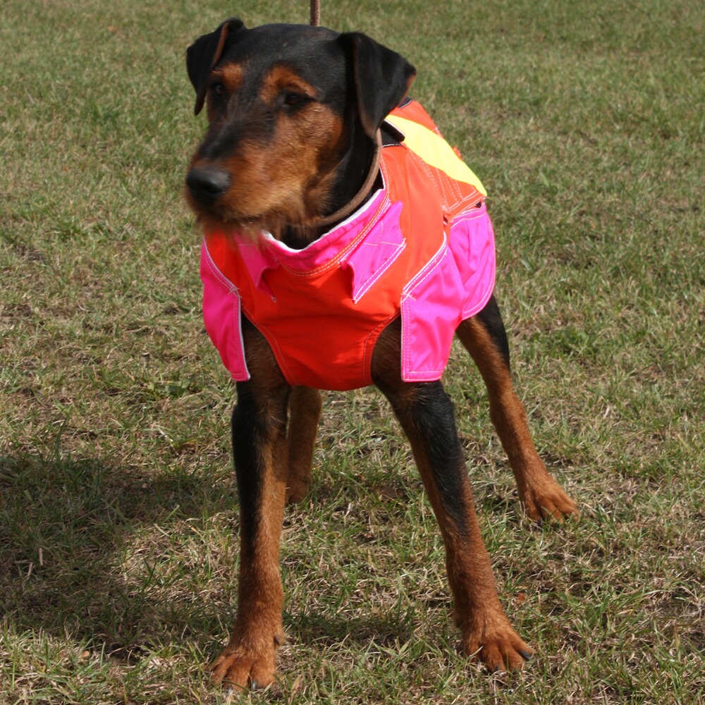 Gilet de protection pour chien standard, Out Dog