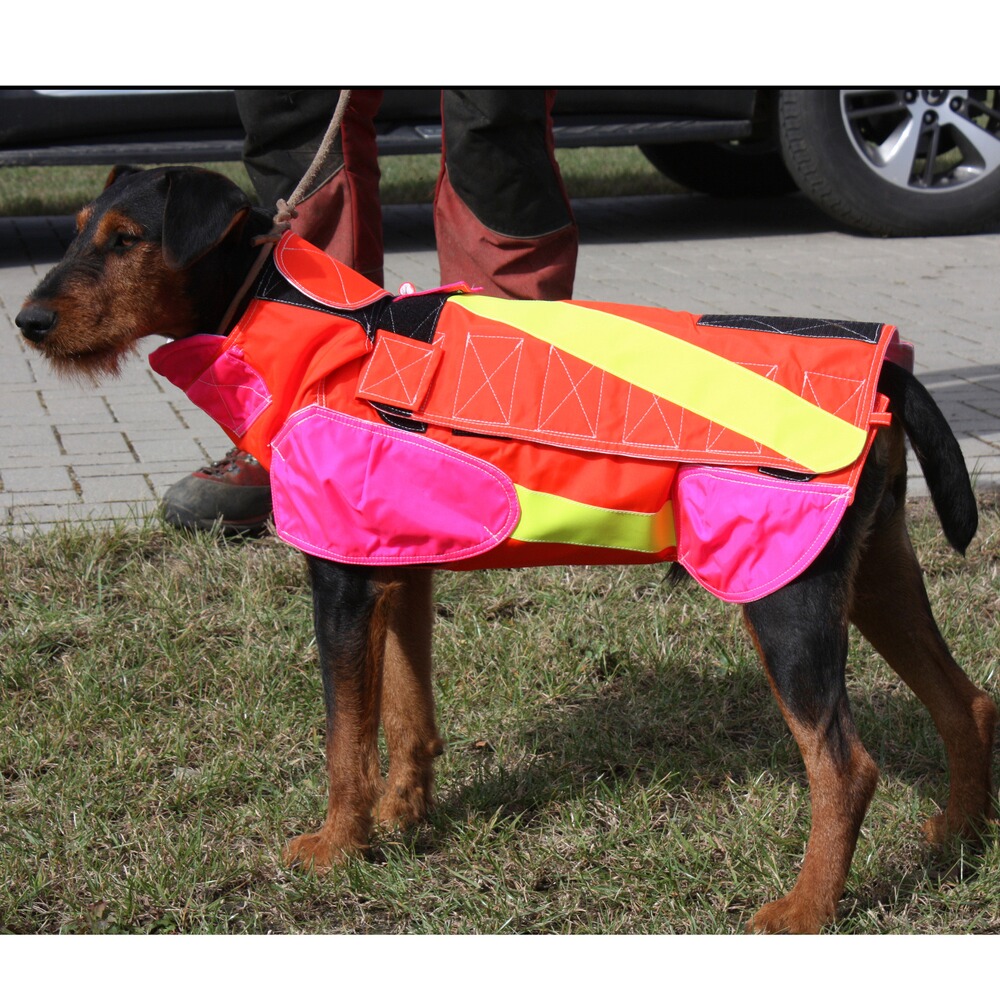 Gilet de protection pour chien standard, Out Dog