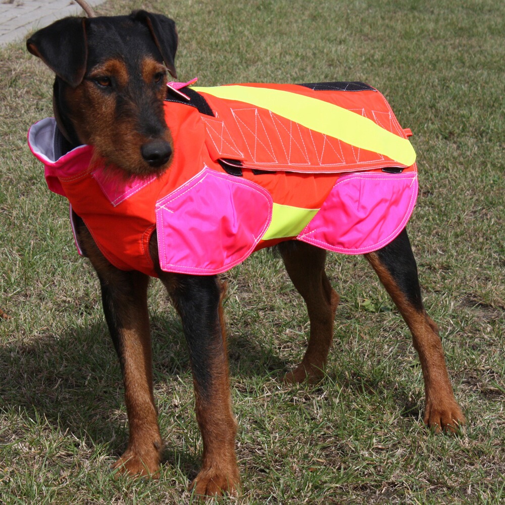 Gilet de protection pour chien standard, Out Dog