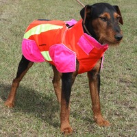 Gilet de protection pour chien standard, Out Dog