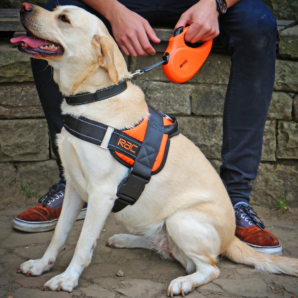 RAC Comfort harness, Heim