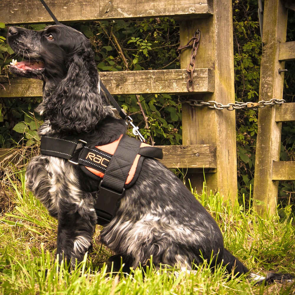RAC Comfort harness, Heim