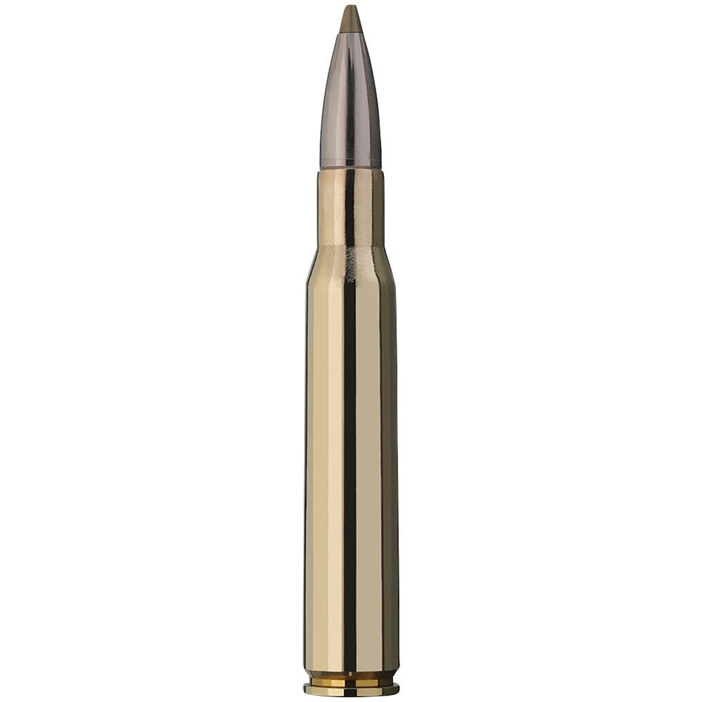 .30-06 Spr. Evolution Green 9,0g/139grs., RWS