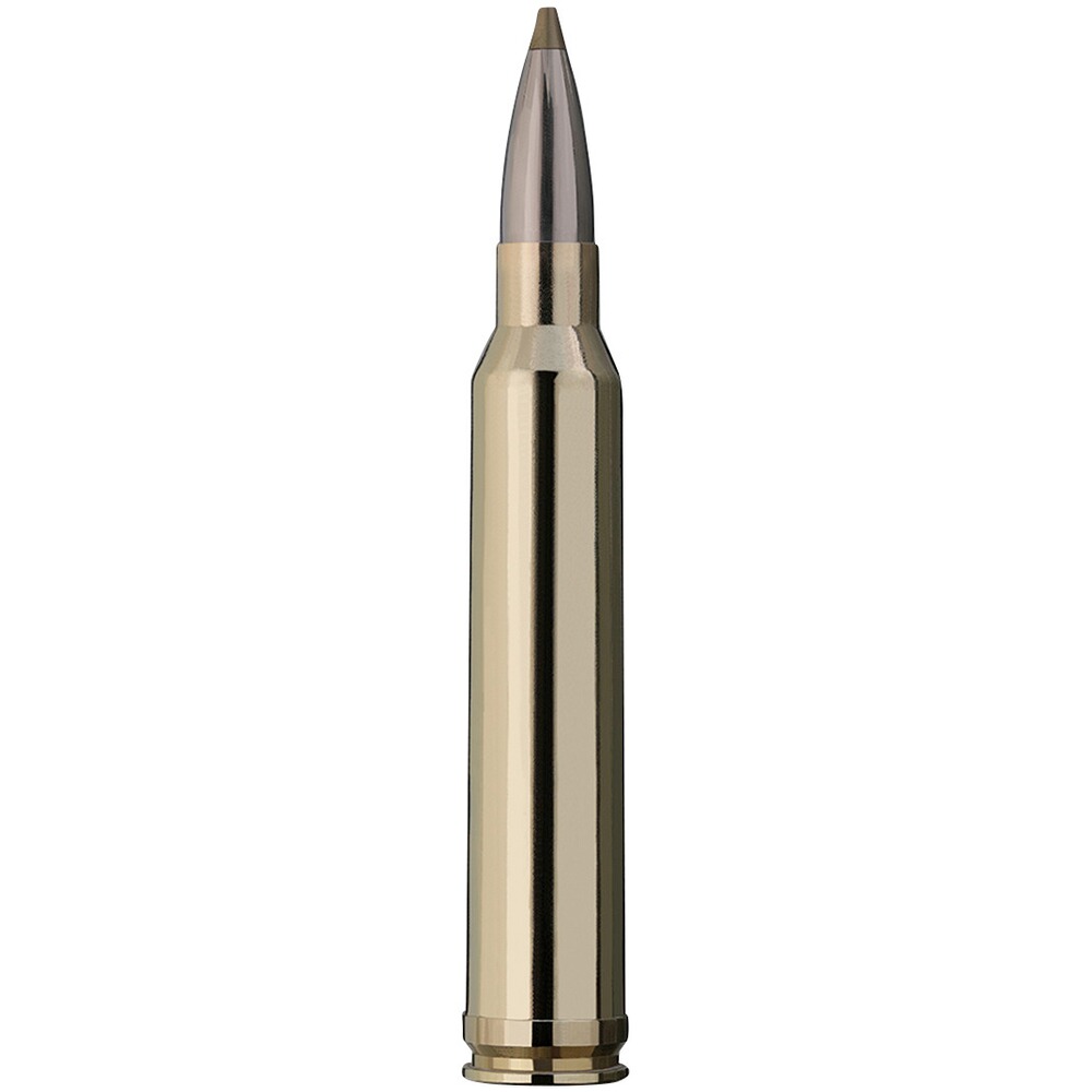 .300 Win. Mag. Evolution Green 9,0g/139grs., RWS