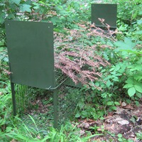 Falle Lebendfang – zwei Falltüren