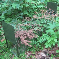 Falle Lebendfang – zwei Falltüren
