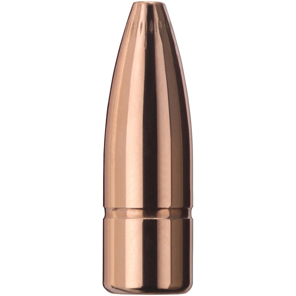 Geschosse .366 (9,3 mm) 16,5g/255grs. Plus