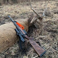 Rifle sling SH2 driven hunt, Sauenhammer