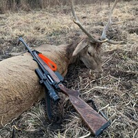 Rifle sling SH2 driven hunt, Sauenhammer