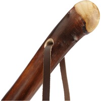 Porte-greffe ambulant, GASTROCK