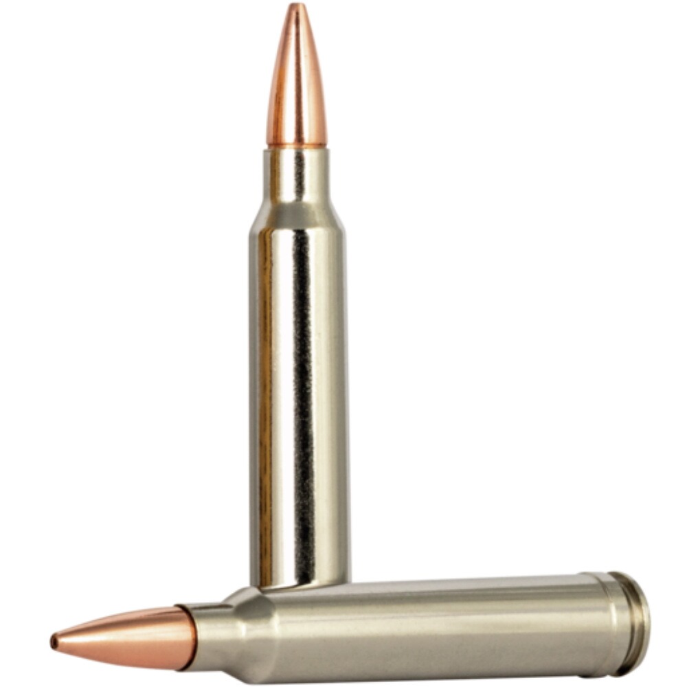 .300 Win. Mag. Vital-Shok Barnes TSX 10.7g/165grs., Federal Ammunition