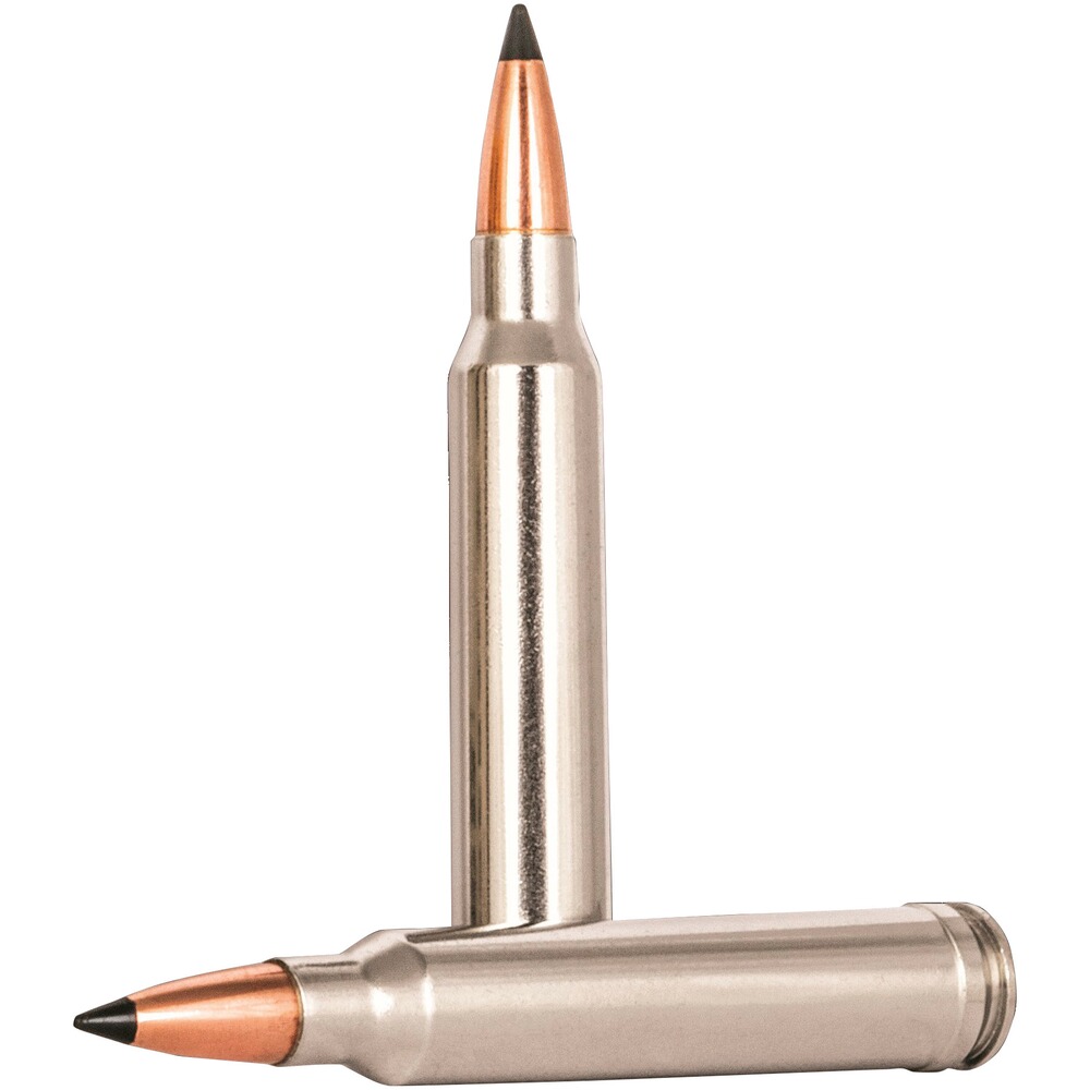 .300 Win. Mag. Trophy Copper lead-free 10.7g/165grs., Federal Ammunition
