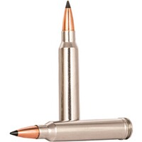 .300 Win. Mag. Trophy Copper lead-free 10.7g/165grs., Federal Ammunition