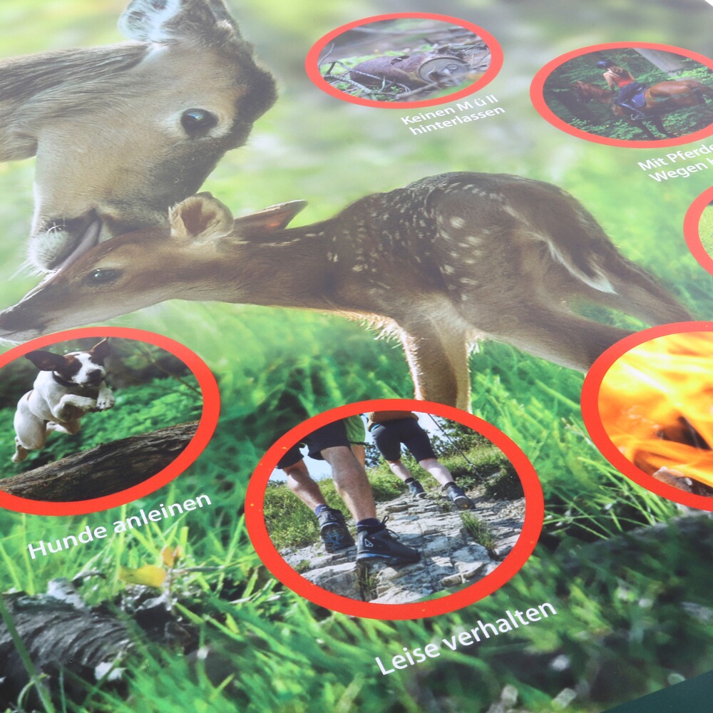 Hinweisschild Rücksicht auf's Wild – 3er-Pack, Waidgerechte Jagd
