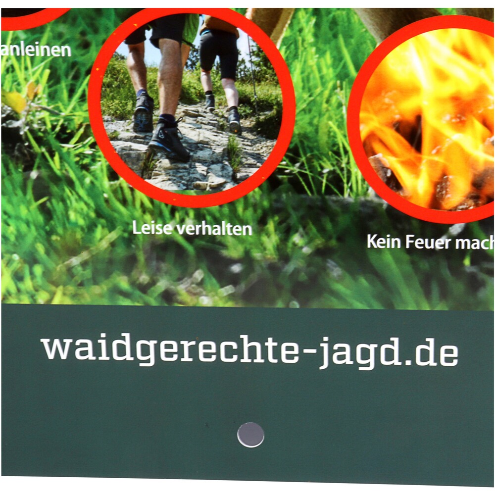 Hinweisschild Rücksicht auf's Wild – 3er-Pack, Waidgerechte Jagd