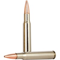 .30-06 Prov. Vital-Shok Barnes TSX 11.7g/180grs., Federal Ammunition