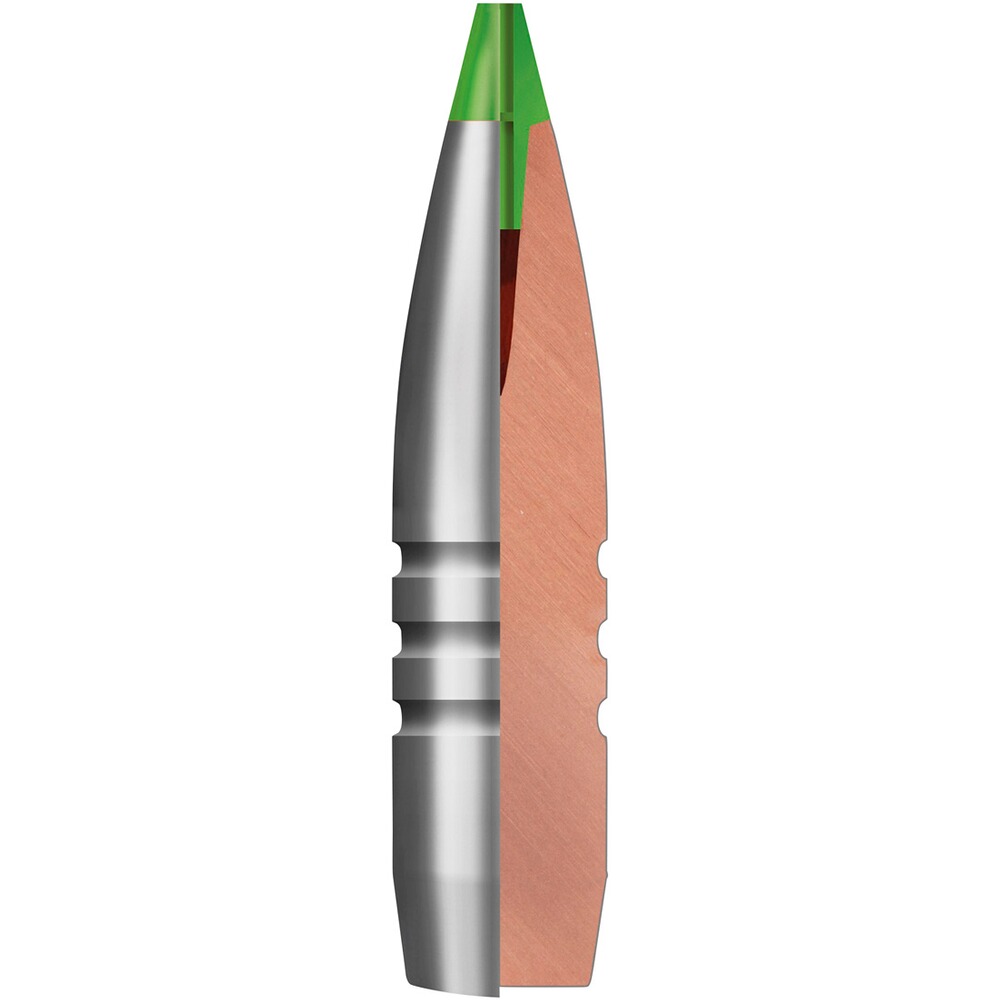 .30-06 Spr. Ecostrike Silencer 9,7g/150grs., Norma