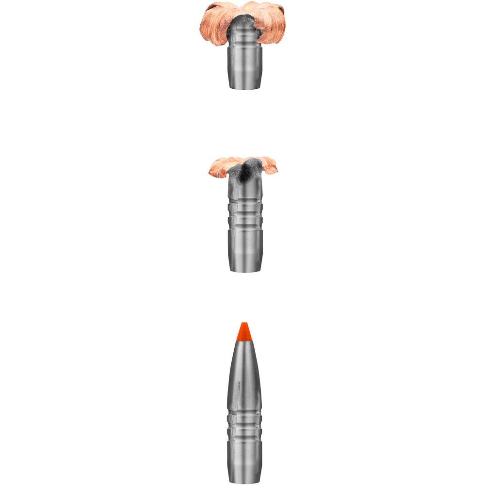 .300 Win. Mag. HIT 10,7g/165grs., RWS