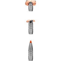 .300 Win. Mag. HIT 10,7g/165grs., RWS