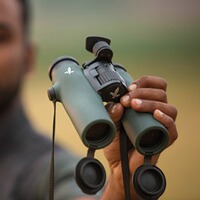 Fernglas NL Pure 10x32, Swarovski Optik