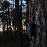 Wildkamera Link-Micro-LTE mit Zubehör – 4er-Set, Spypoint