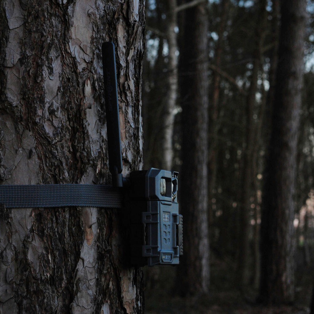 Wildkamera Link-Micro-LTE mit Zubehör – 4er-Set, Spypoint