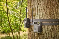 Wildkamera Link-Micro-LTE mit Zubehör – 4er-Set, Spypoint