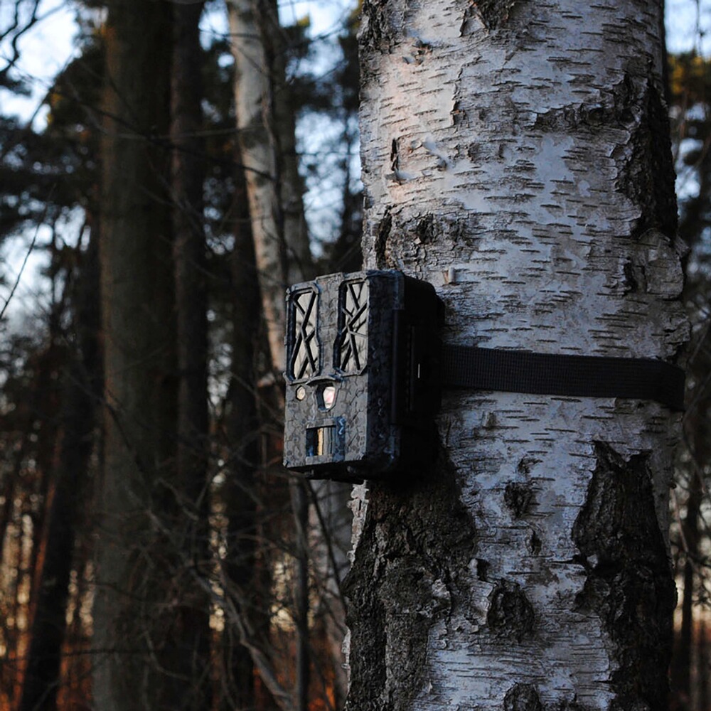 Force Pro wildlife camera, Spypoint