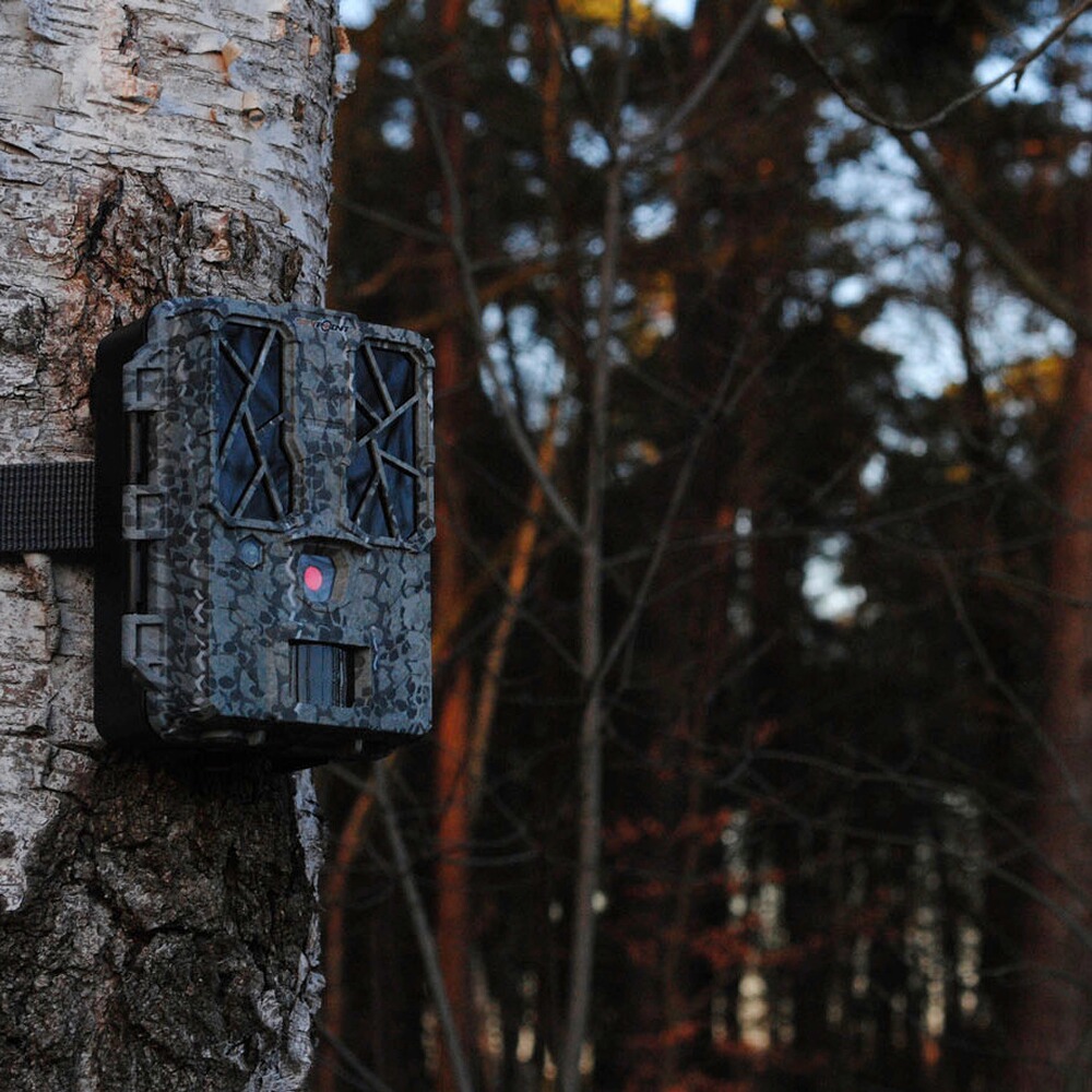 Force Pro wildlife camera, Spypoint