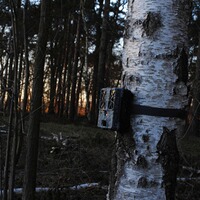 Force Pro wildlife camera, Spypoint