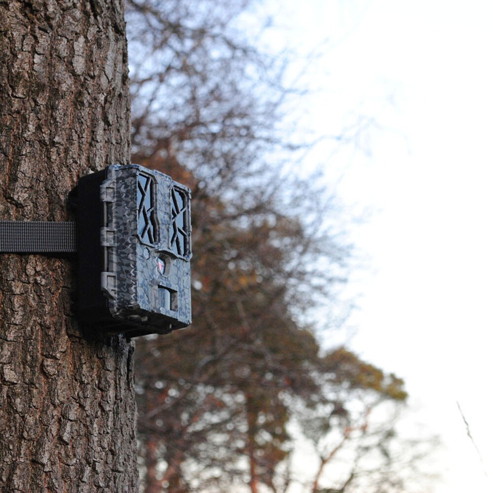 Force Pro wildlife camera, Spypoint