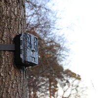 Force Pro wildlife camera, Spypoint