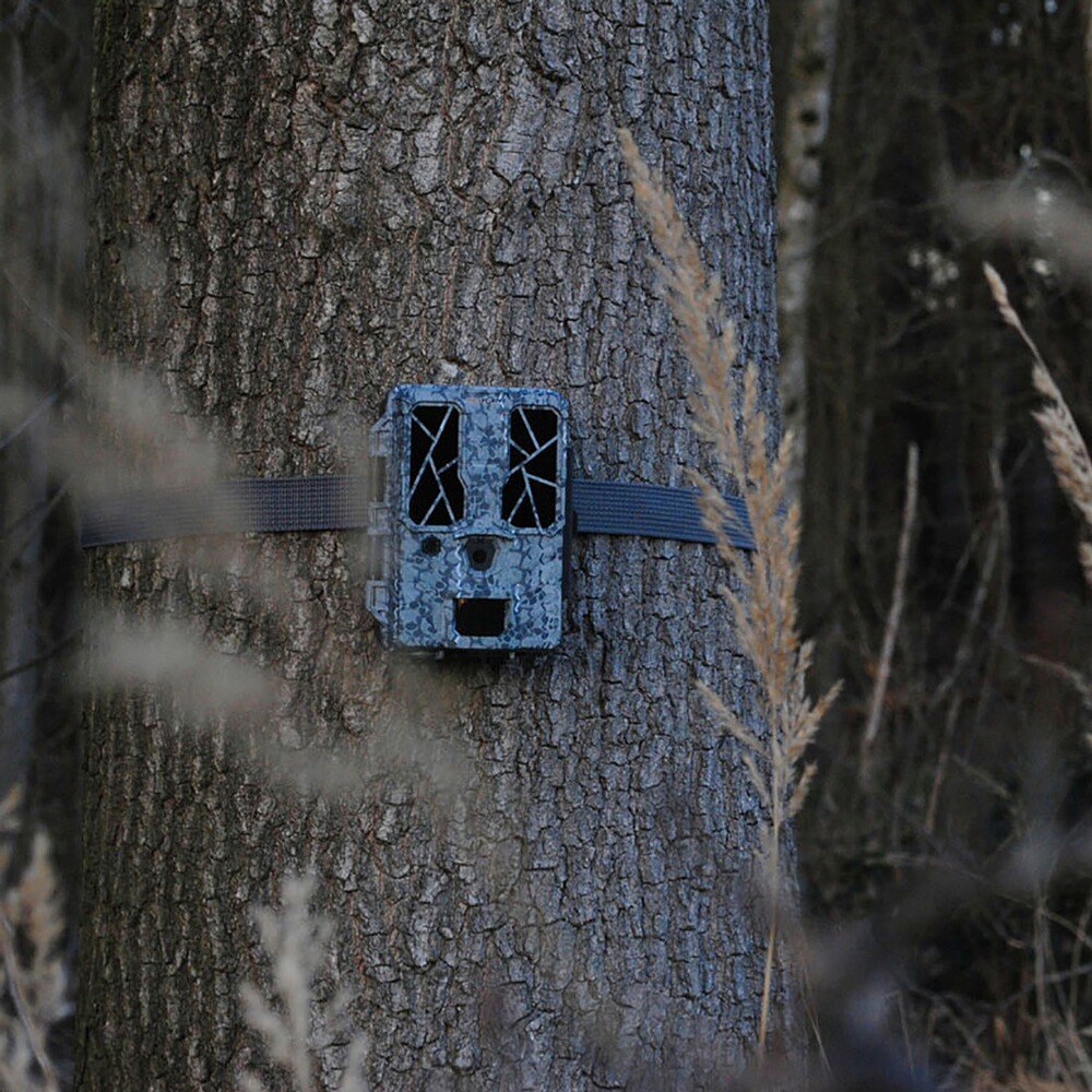 Force Pro wildlife camera, Spypoint