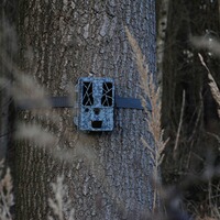 Force Pro wildlife camera, Spypoint