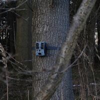 Force Pro wildlife camera, Spypoint