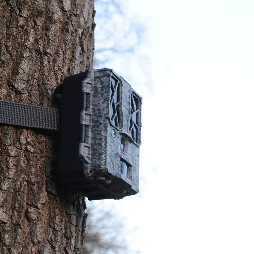 Force Pro wildlife camera, Spypoint