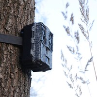 Force Pro wildlife camera, Spypoint
