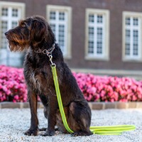 Führleine gummiert – 3-fach verstellbar, Sprenger