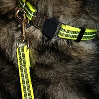 Rubberized dog leash without hand strap, Sprenger