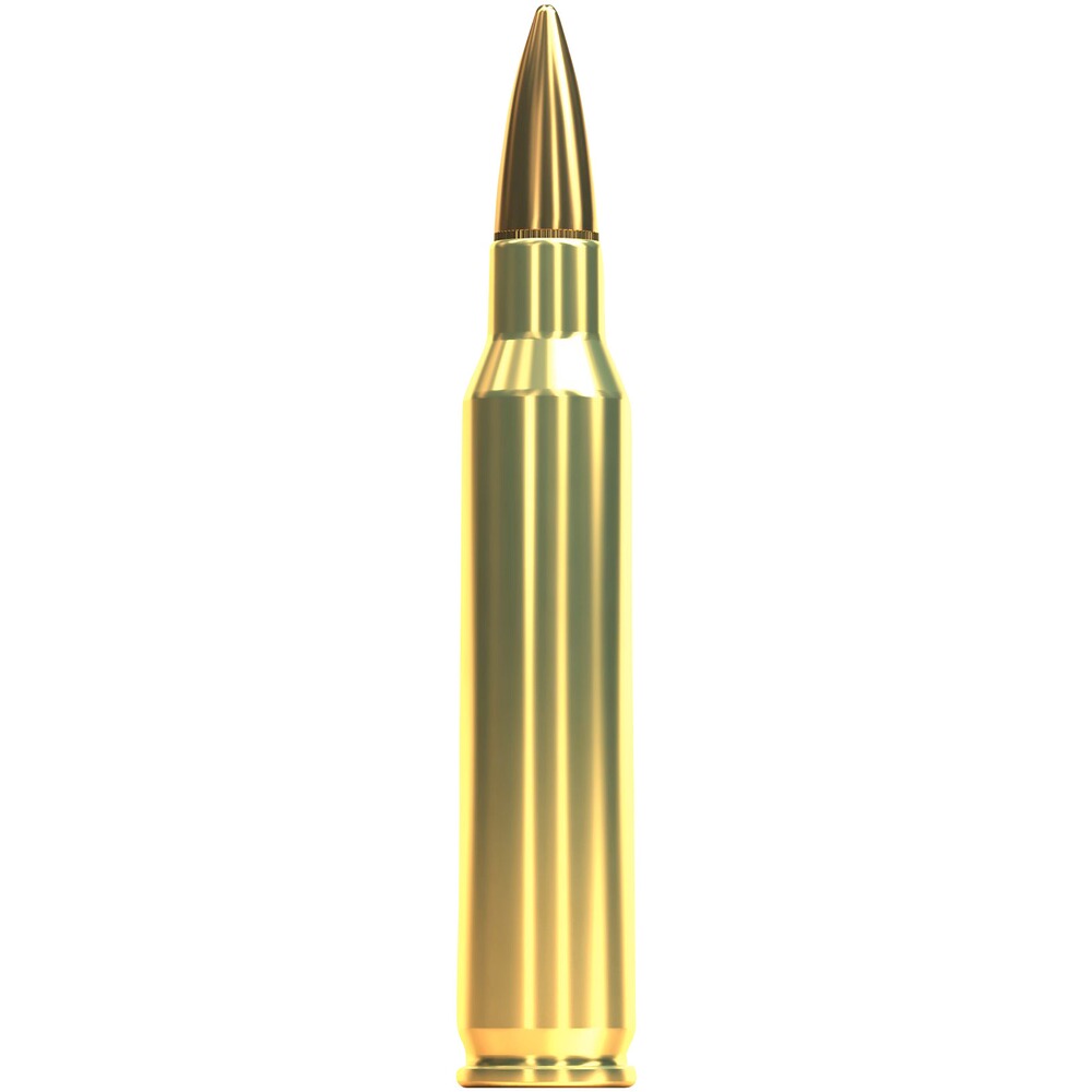 .223 Rem. Vollmantel 4,5g/69grs., Sellier & Bellot