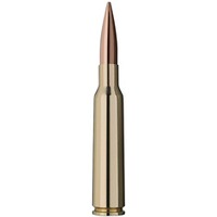 6,5x55 SE Scorion 8,4g/130grs., RWS
