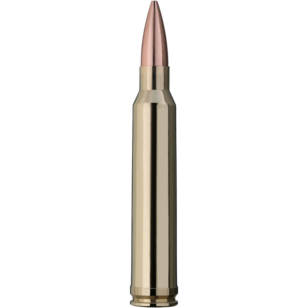 .300 Win. Mag. Scorion 11,3g/175grs., RWS