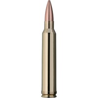 .300 Win. Mag. Scorion 11,3g/175grs., RWS