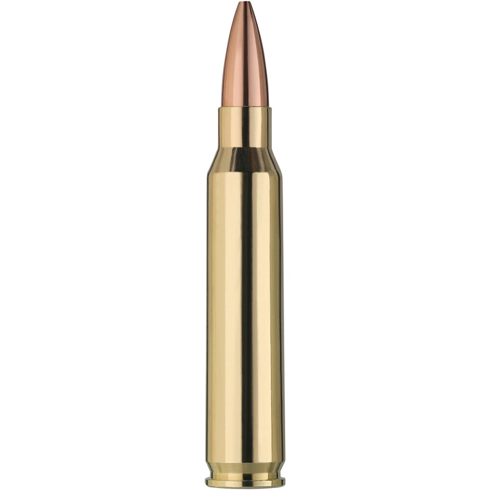 .223 Rem. Scorion 4,5g/69grs., RWS